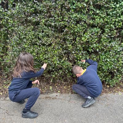 Science - Living things & their habitats 